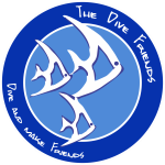 divefriends logo club new(1)
